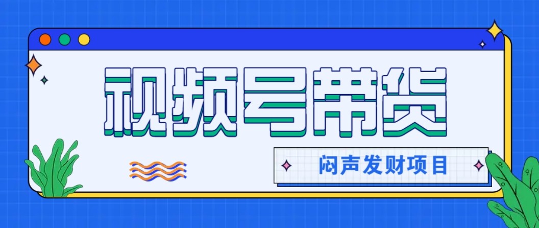 微信视频号带货项目，轻松日赚赚2000+，这个挣钱入口很多伙伴都在闷声发财-鼎誉项目网