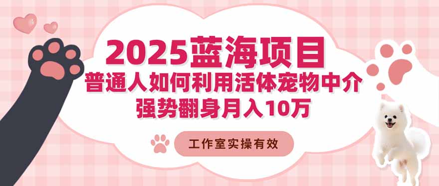 2025蓝海项目：普通人如何利用活体宠物中介，强势翻身月入10万-鼎誉项目网