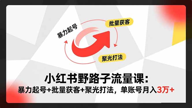 小红书野路子流量课：暴力起号+批量获客+聚光打法，单账号月入3万+-鼎誉项目网