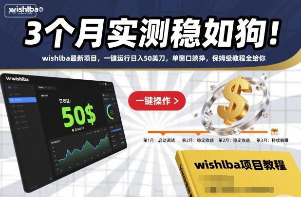 3个月实测稳如狗！wishlba最新项目，一键运行日入50美刀，单窗口躺挣，保姆级教程全给你【揭秘】-鼎誉项目网