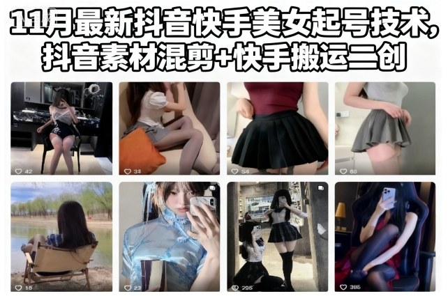 11月最新抖音快手美女起号技术，抖音素材混剪+快手搬运二创-鼎誉项目网