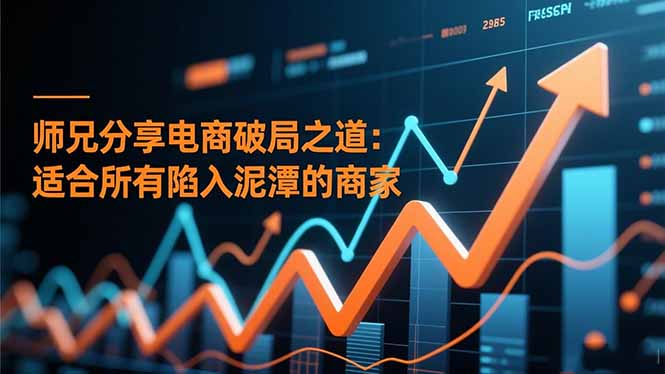 师兄分享电商破局之道：适合所有陷入泥潭的商家-鼎誉项目网