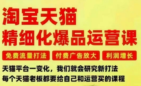 淘宝天猫精细化爆品运营课，免费流量打法-付费广告放大-利润增长-三大核心痛点，一次全部解决-鼎誉项目网