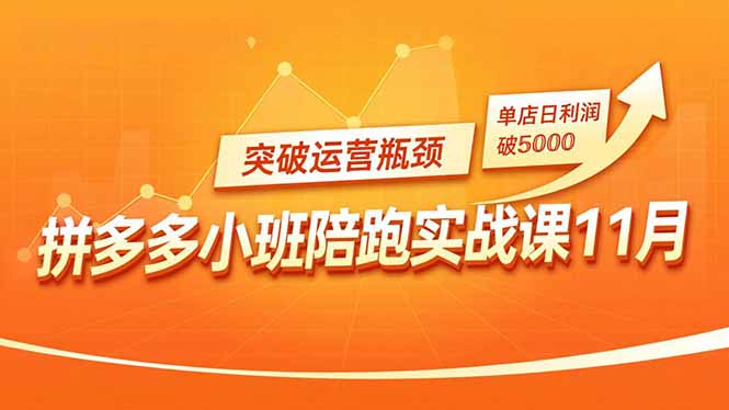 拼多多小班陪跑实战课11月，强付费矩阵、原价活动、暗券引流，突破运营瓶颈，单店日利润破5000-鼎誉项目网