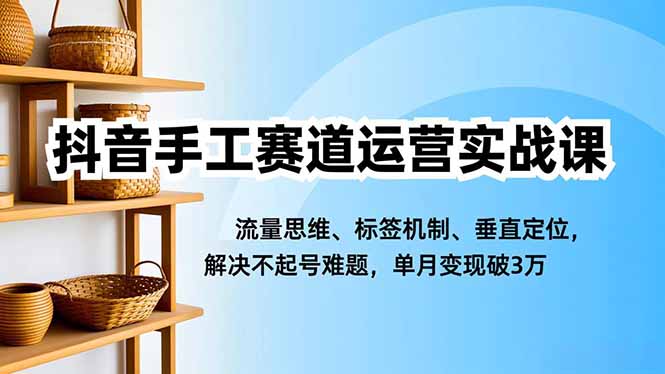 抖音手工赛道运营实战课，流量思维、标签机制、垂直定位，解决不起号难题，单月变现破3万-鼎誉项目网