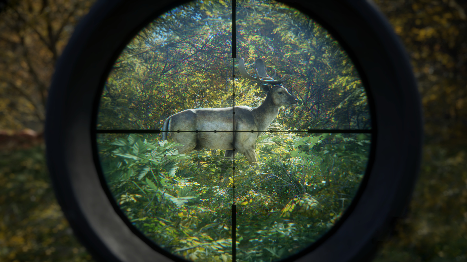 《猎人：荒野的召唤/theHunter: Call of the Wild》PC中文版下载-含v3101875-鼎誉项目网