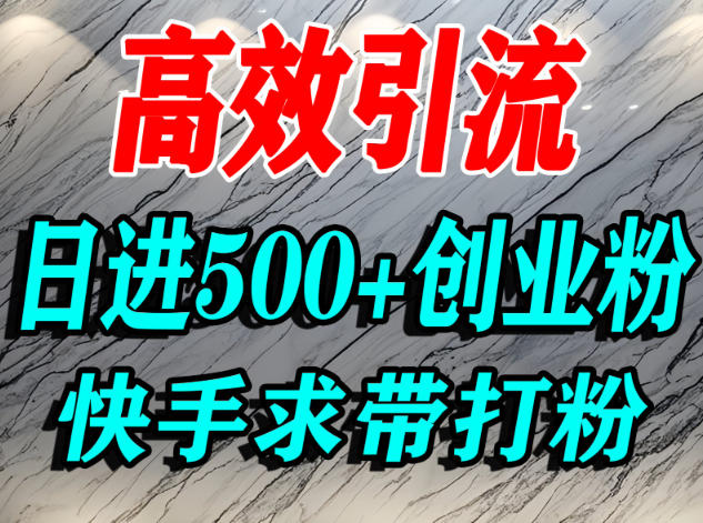 怎么打创业粉？快手求带视角精准引流创业粉，宝妈、学生群体日进500+精准流量-鼎誉项目网