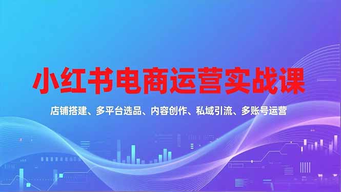 小红书电商运营实战课，店铺搭建、多平台选品、内容创作、私域引流、多账号运营等玩法-鼎誉项目网