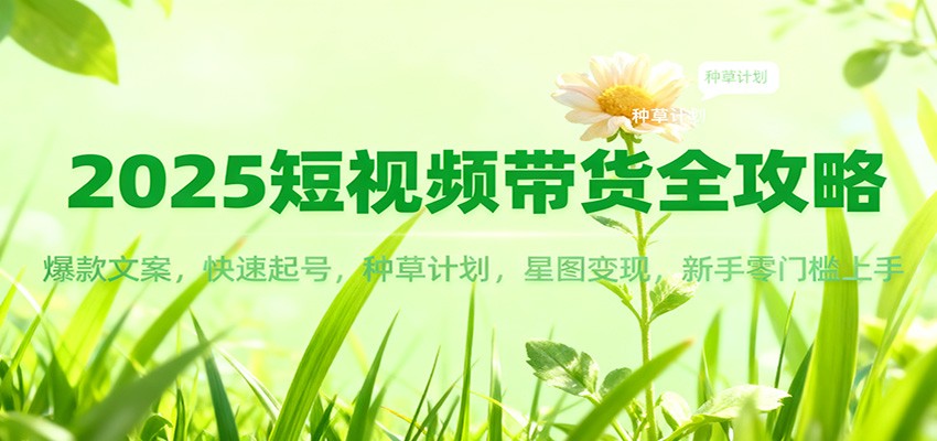 2025短视频带货全攻略：爆款文案，快速起号，种草计划，星图变现，新手零门槛上手-鼎誉项目网