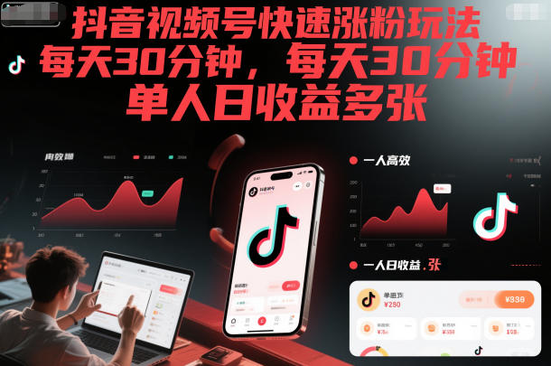 抖音视频号快速涨粉玩法，每天30分钟，单人日收益多张-鼎誉项目网