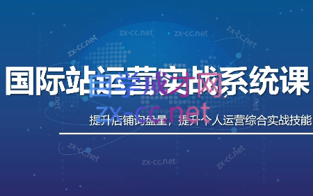 白老师·国际站运营实战系统(高质量询盘增长课)(部分更新)-鼎誉项目网
