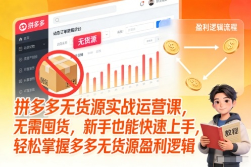 拼多多无货源实战运营课，无需囤货，新手也能快速上手，轻松掌握多多无货源盈利逻辑-鼎誉项目网