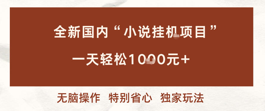 全新国内小说挂G项目，多窗口无脑跑，一天轻松1k+，特别省心【揭秘】-鼎誉项目网