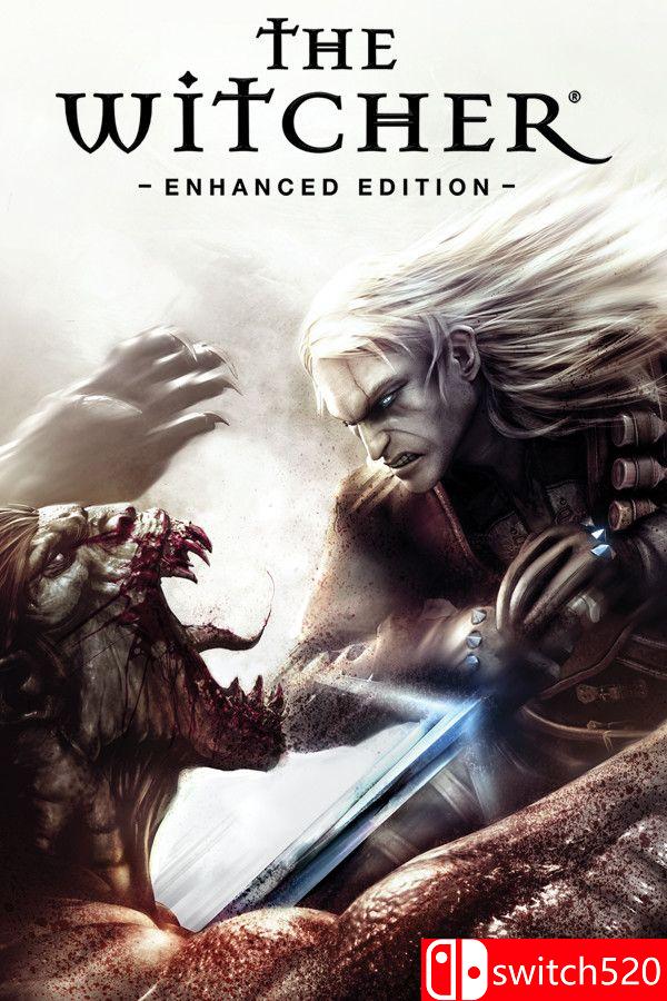 《巫师加强版（The Witcher: Enhanced Edition）》官方中文 v1.5 [繁体/英文]-鼎誉项目网