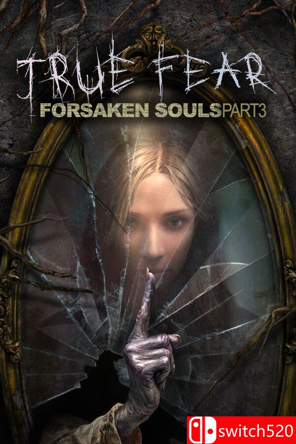《真实恐惧：被遗弃的灵魂3（True Fear: Forsaken Souls P3）》v1.0.14 [中文/英文]-鼎誉项目网
