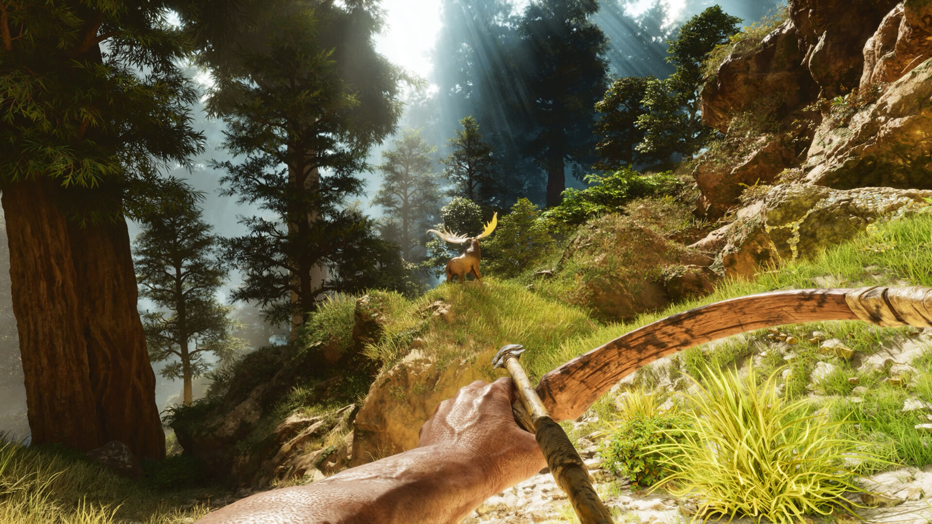 PC游戏《方舟: 生存飞升/ARK: Survival Ascended》中文v77.54下载-鼎誉项目网