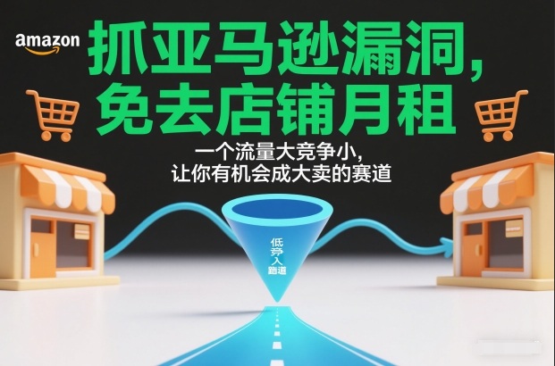 抓亚马逊漏洞，免去店铺月租，一个流量大竞争小，让你有机会成大卖的赛道-鼎誉项目网