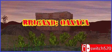 《盗团：瓦哈卡（Brigand: Oaxaca）》v17.6 [英文]-鼎誉项目网