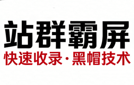 SEO野路子实战全集：快速收录、站群霸屏、黑帽技术-鼎誉项目网
