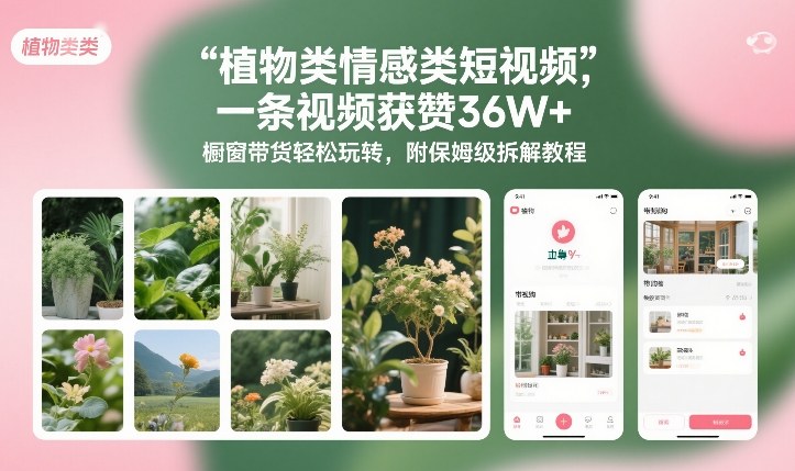 植物类情感类短视频，一条视频获赞36W+，橱窗带货轻松玩转，附保姆级拆解教程-鼎誉项目网