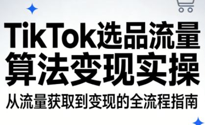 TikTok选品流量算法变现实操-鼎誉项目网