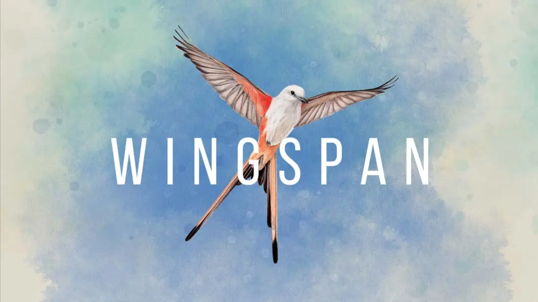 【美版】展翅翱翔 Wingspan 中文-鼎誉项目网