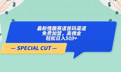 【轻云】最新情趣赛道首码渠道，免费加盟，高佣金，轻松日入5张+-鼎誉项目网