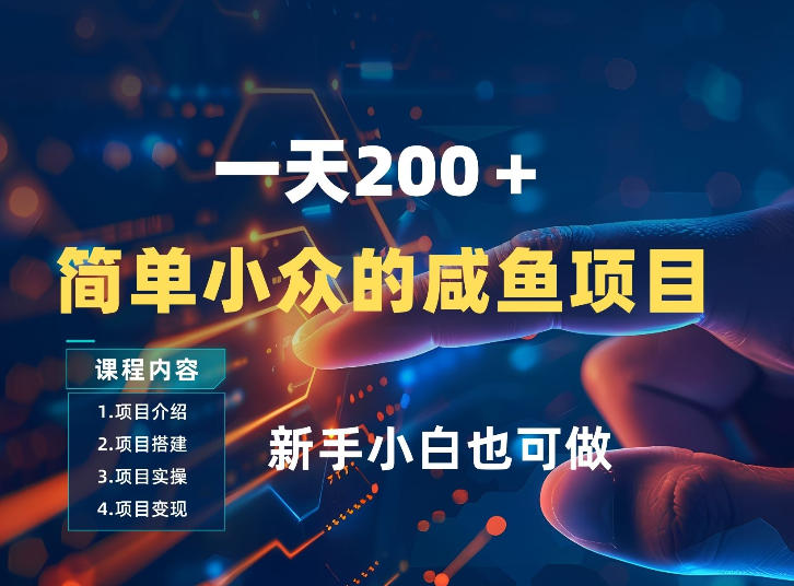 一天收入2张，一个简单小众的咸鱼项目，0门槛小白也能做-鼎誉项目网