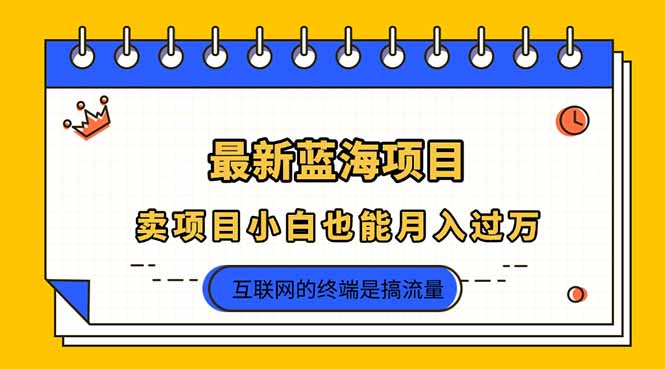 2025年最新蓝海项目，卖项目小白也能月入过万-鼎誉项目网