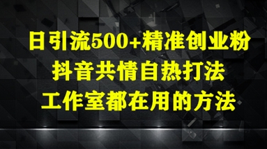 日引流500+精准创业粉，抖音共情自热打法，工作室都在用的方法-鼎誉项目网