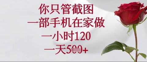 你只管截图，一部手机在家操作，一小时120.一天5张【揭秘】-鼎誉项目网