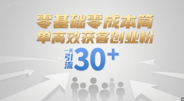零基础零成本简单高效获客创业粉，一天引流30+-鼎誉项目网