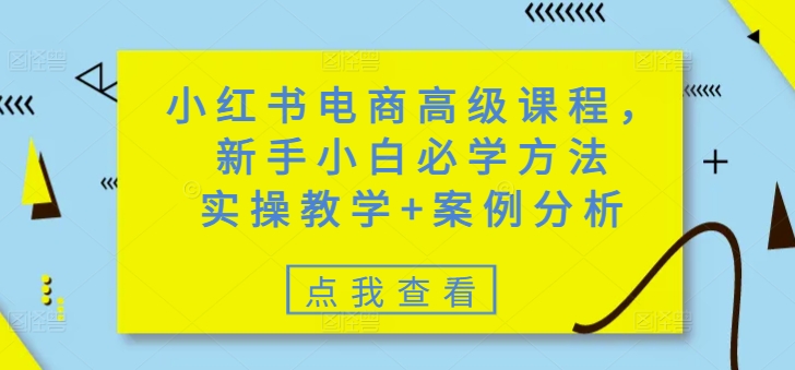 小红书电商高级课程，新手小白必学方法，实操教学+案例分析-鼎誉项目网