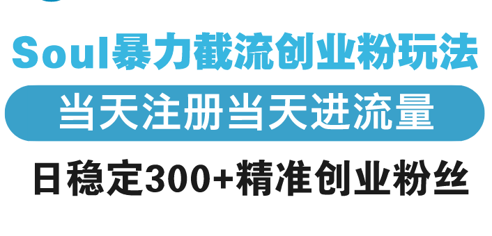 Soul暴力截流创业粉玩法，当天注册当天进流量，日稳定300+精准创业粉丝-鼎誉项目网