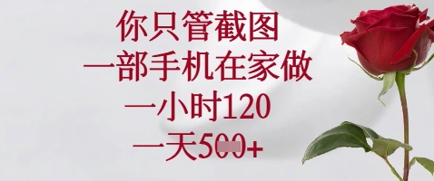 你只管截图，一部手机在家做，苹果安卓都可以，一小时120，一天5张+【揭秘】-鼎誉项目网
