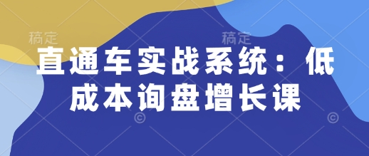 直通车实战系统：低成本询盘增长课，让个人通过技能实现升职加薪，让企业低成本获客，订单源源不断-鼎誉项目网