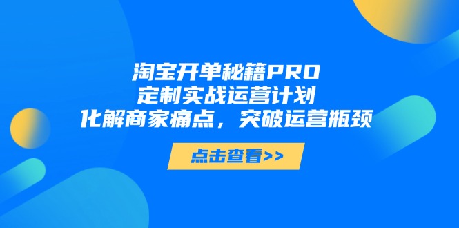 淘宝开单秘籍PRO，定制实战运营计划，化解商家痛点，突破运营瓶颈-鼎誉项目网
