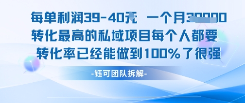每单利润40一个月7k+转化最高的私域项目，每个人都要的产品转化率已经能做到100%-鼎誉项目网