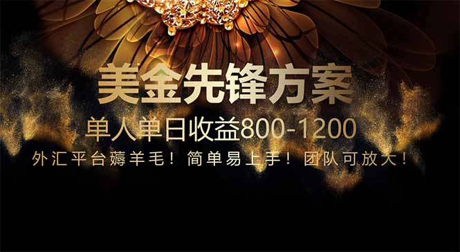 免费技术！小众赛道！一年布局抵三年努力，每日800+-鼎誉项目网