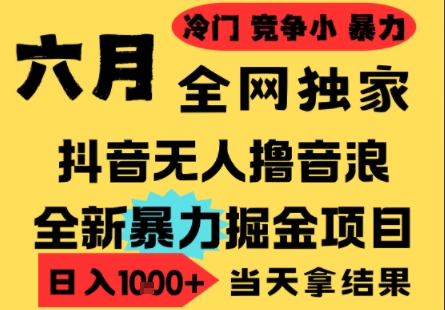 25年6月高爆抖音无人直播最新撸音浪掘金项目，小白可做，无脑日入1k+，门槛低可批量矩阵【揭秘】-鼎誉项目网