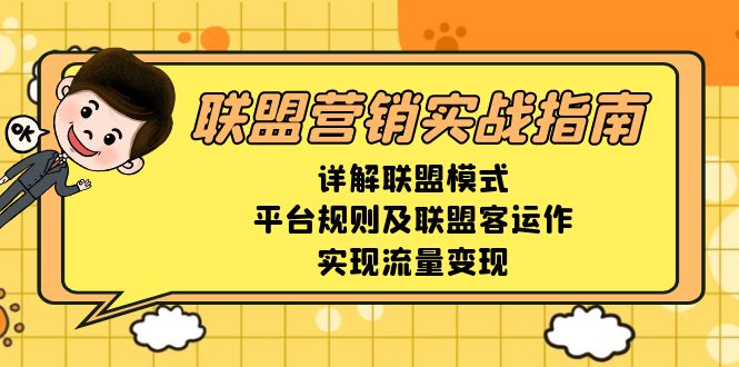 联盟营销实战指南，详解联盟模式、平台规则及联盟客运作，实现流量变现-鼎誉项目网