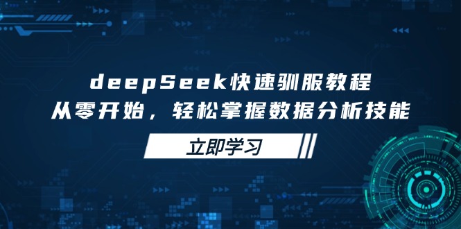 deepSeek快速驯服教程，从零开始，轻松掌握数据分析技能-鼎誉项目网