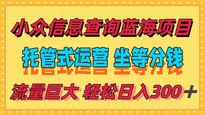 稳定日入300＋，小众信息查询蓝海项目，全程懒人式托管，解放你的时间-鼎誉项目网