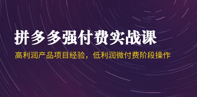 拼多多强付费实战课-44期，高利润产品项目经验，低利润微付费阶段操作-鼎誉项目网