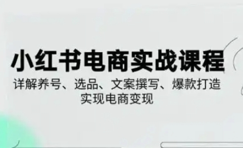 小红书从0-1实操课(2023-2025)，详解养号、选品、文案撰写、爆款打造实现电商变现-鼎誉项目网