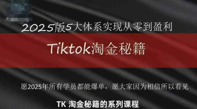 TikTok跨境2025淘金秘籍，​2025TikTok从0到盈利变现-鼎誉项目网