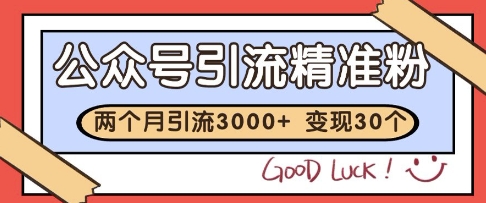 公众号精准粉引流玩法，2个月3000+精准粉，变现30个W【揭秘】-鼎誉项目网