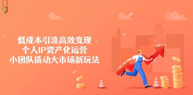 低成本引流高效变现，个人IP资产化运营，小团队撬动大市场新玩法-鼎誉项目网