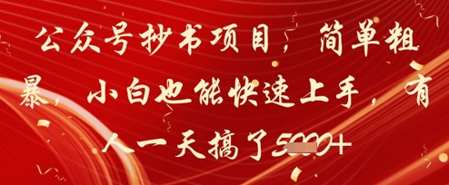 公众号抄书项目，简单粗暴，小白也能快速上手，有人一天搞了1k+-鼎誉项目网
