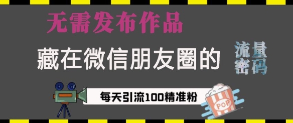 藏在微信朋友圈的流量密码，无需发布作品，单日引流100+精准创业粉【揭秘】-鼎誉项目网